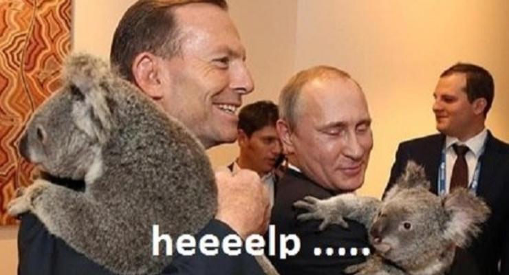 Путин с коалой "взорвал" интернет (фото)