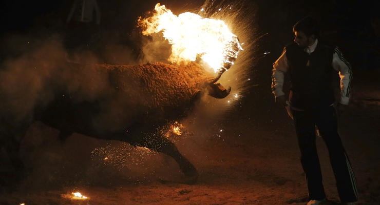 В Испании ради развлечения поджигали живых быков