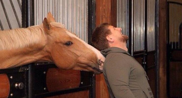 Германия сняла запрет на выплату призовых лошади Кадырова