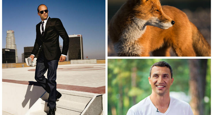 Позитив дня: международный мужской день, подарок Кличко и очаровательные лисички