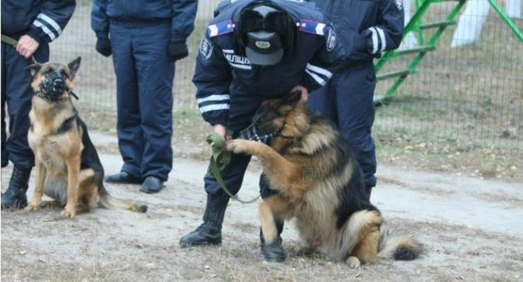 В киевском метро появятся милиционеры с собаками