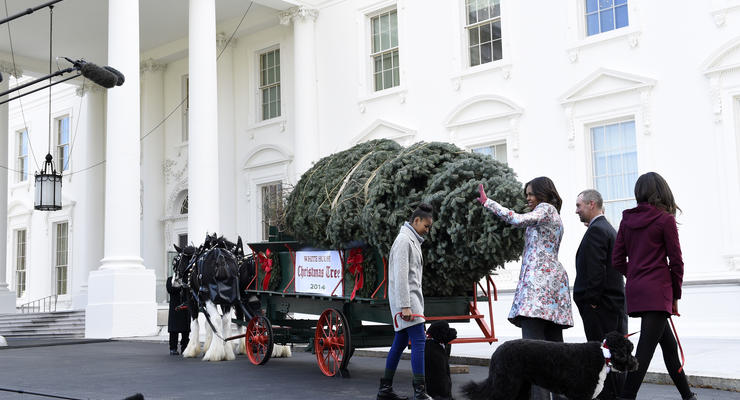 Рождественскую ель доставили в Белый дом