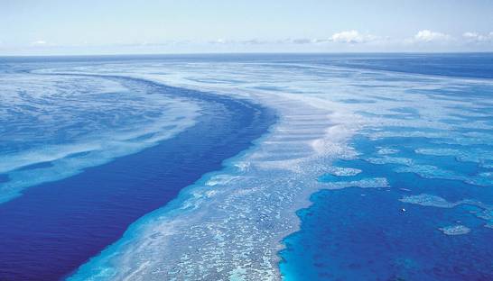 От каменных лесов до подземных рек. Самые захватывающие чудеса природы