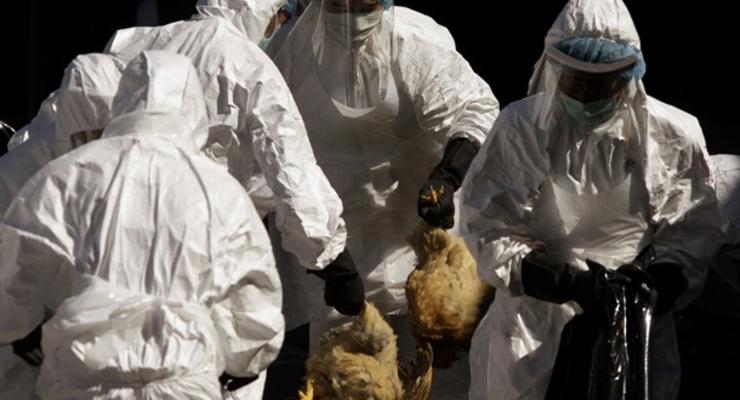 В Канаде из-за вируса будут уничтожены 140 тысяч птиц