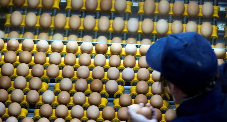 Украина перекрыла транзит яиц в Россию из Турции