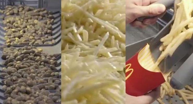 "Разрушители легенд" раскрыли секреты картошки-фри в McDonald's