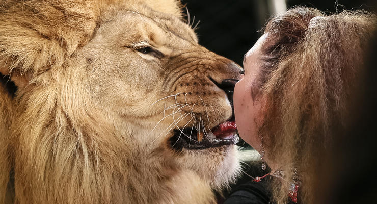 Поцелуй со львом. Национальный цирк Украины показал ретро-шоу