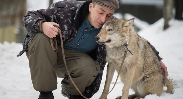 В России хозяин приюта гуляет по городу с волчицей