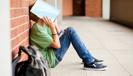 В следующем году 12-летнего обучения в школах не будет - министр