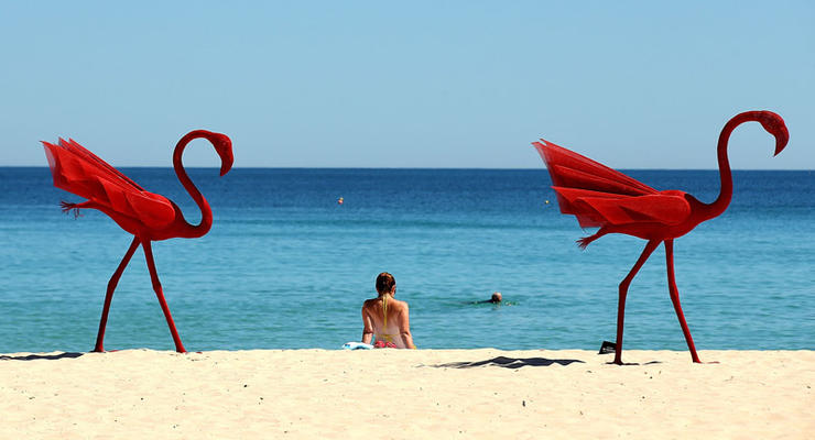 Австралийские скульптуры у моря: необычная выставка на пляже