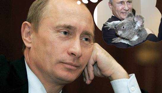 Коубы недели: Путин-пропажа и панда-жадина