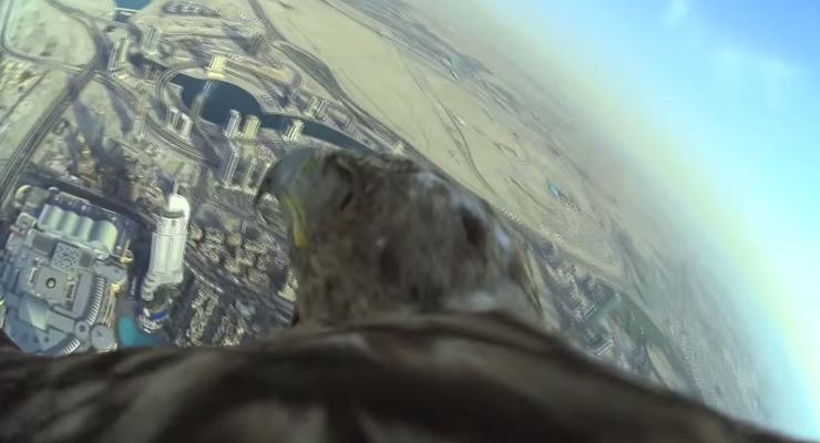 Орел снял свой полет с самого высокого здания в мире