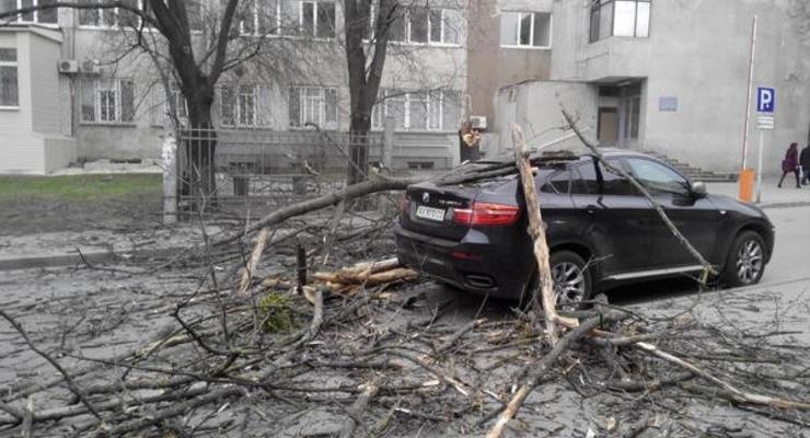 В Харькове сильный ветер повалил деревья и повредил крыши на зданиях