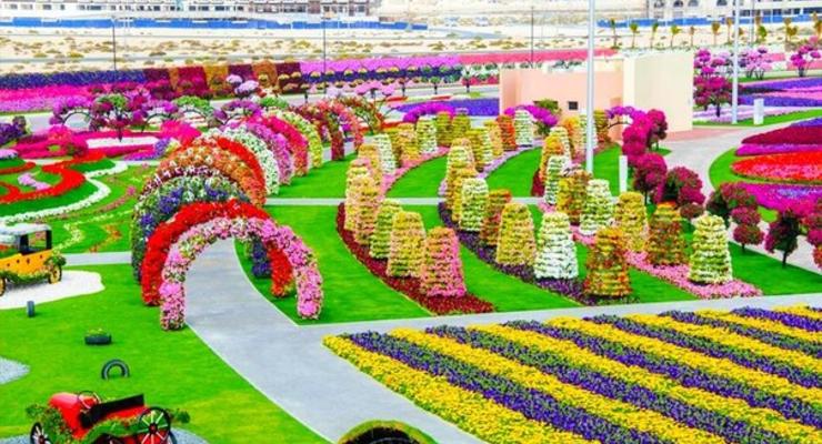 Сад Чудес: самый большой цветочный сад в мире