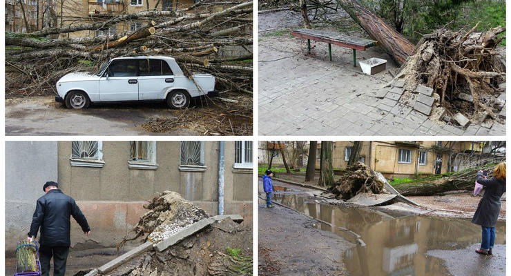 Ураган в Одессе и Николаеве повалил сотни деревьев, подтопил улицы
