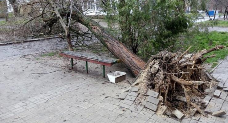 Непогода обесточила в Украине 284 населенных пункта