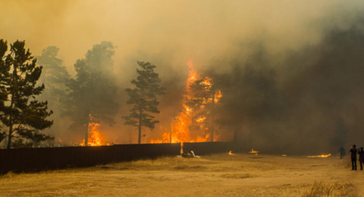 В Забайкалье бушуют лесные пожары. Есть жертвы