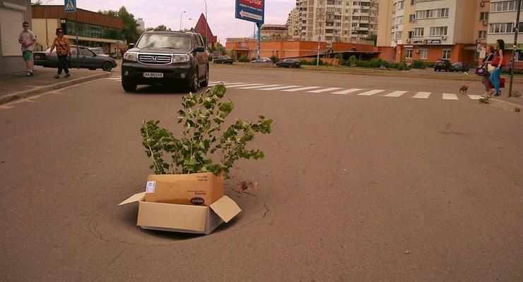 В Киеве активисты залатают ямы на дорогах цветочными композициями