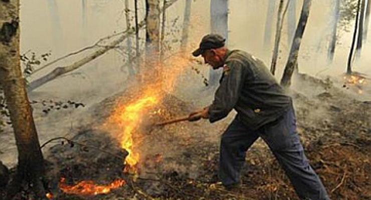 Пострадавшие от лесных пожаров жители Читы записали видеообращение к Путину