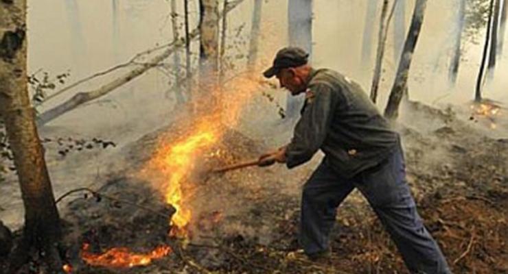 Полпред президента РФ: Пожары в Забайкалье устроили диверсанты