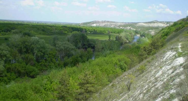 Минэкологии: На Донбассе повреждено 30% природно-заповедного фонда