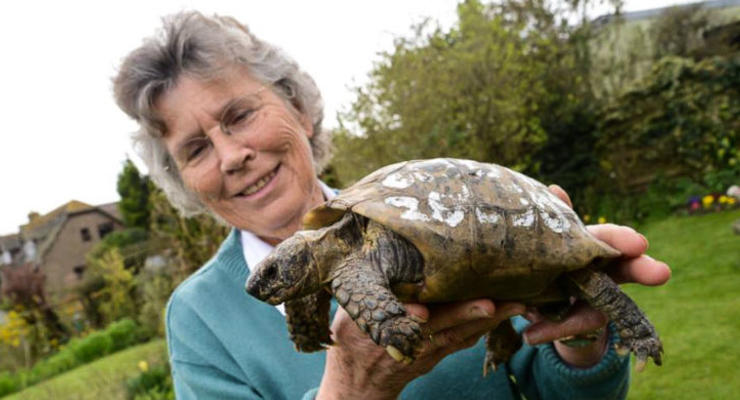 В Великобритании 109-летняя черепаха вернулась домой после года скитаний