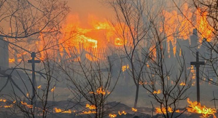 Пожары в Забайкалье охватили территорию площадью 118 тыс. га