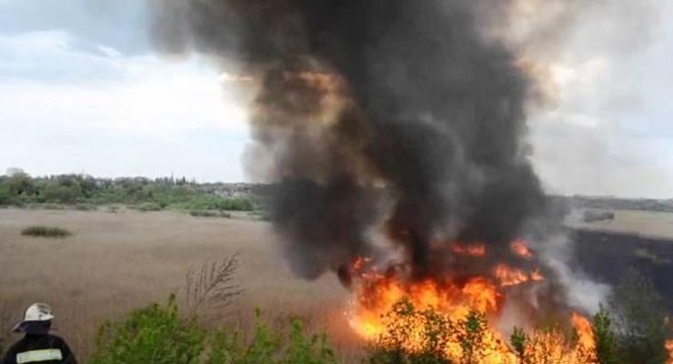Масштабный пожар в Бортничах: огонь распространился на 10 гектаров