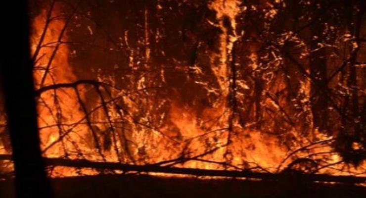 ГСЧС остановила распространение пожара возле ЧАЭС