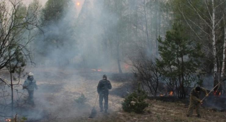 Ситуация с лесными пожарами вблизи ЧАЭС на 100% контролируется - Шкиряк