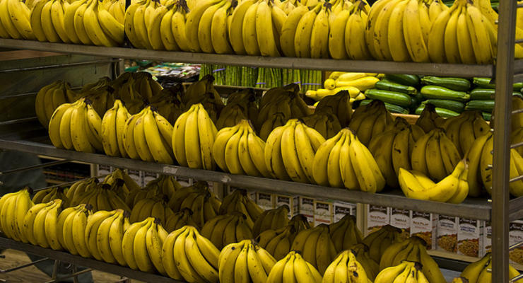 В супермаркеты Берлина поступило 400 кг кокаина вместо бананов