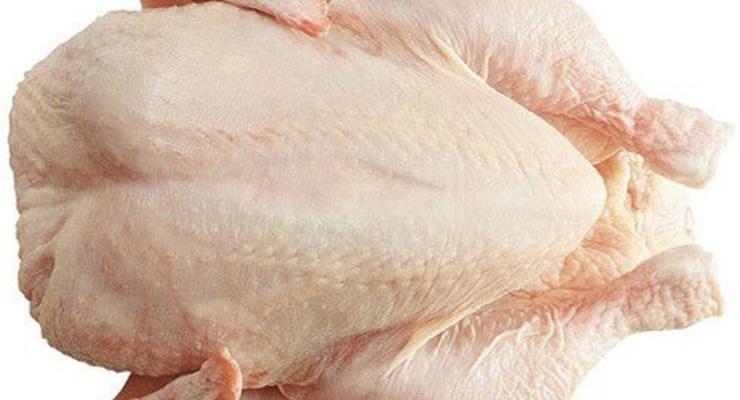 ГПУ расследует, как на украинский рынок попали 535 тонн зараженной сальмонеллезом курятины