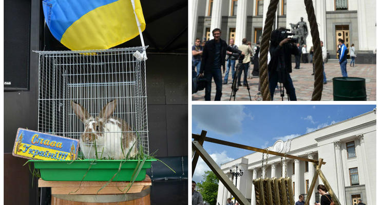 На митинг против тарифов принесли виселицу и "бочку пороха" с кроликом