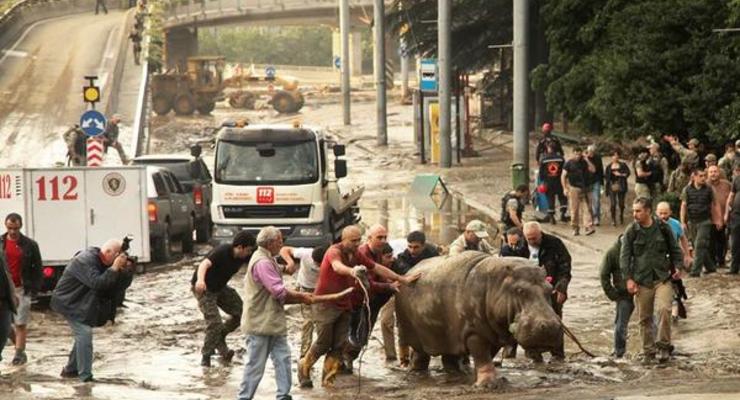 Власти Тбилиси подтвердили гибель 8 человек в результате наводнения