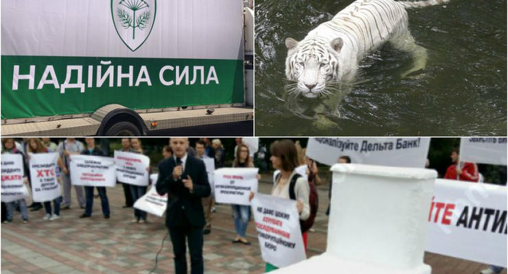 Итоги 17 июня: Украденный "укроп", "унитаз" для реформ и тигр-убийца