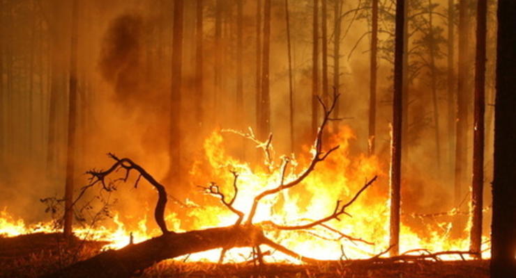Забайкалье вновь охватили лесные пожары