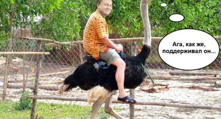 Поддерживатель страусов: соцсети смеются над заявлениями Януковича