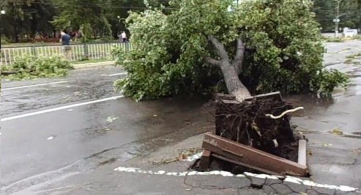 Ураган в Луганске вырвал с корнями деревья и повредил линии электропередач