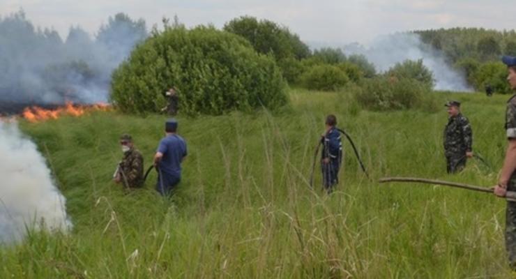 Глава ГСЧС Чечеткин: возгорание травы в "Чернобыльской пуще" локализовано