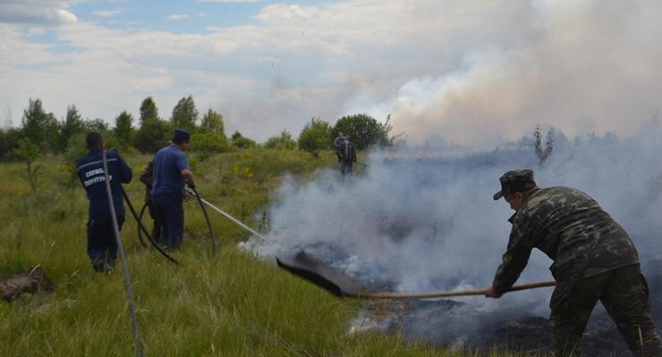 В чернобыльской зоне ликвидировано горение травы на всех очагах