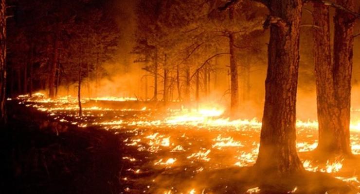 В Киеве и области повысили уровень пожароопасности до "чрезвычайного"