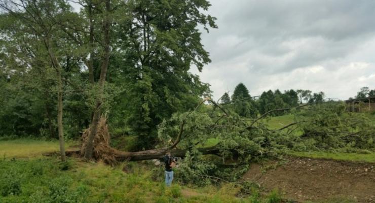 В Польше жертвой сильной бури стал один человек, сообщается о сильных разрушениях