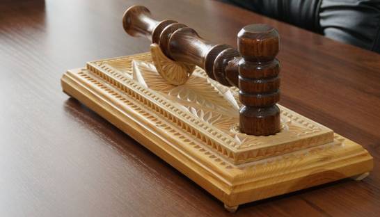 Адвокат: Суд отпустил под домашний арест одного из главарей "титушек"