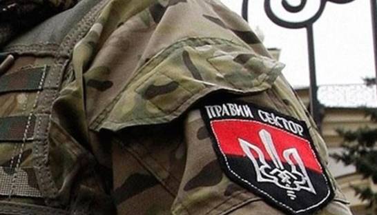 Приказ травить Правый сектор был отдан Путиным - пресс-секретарь ПС