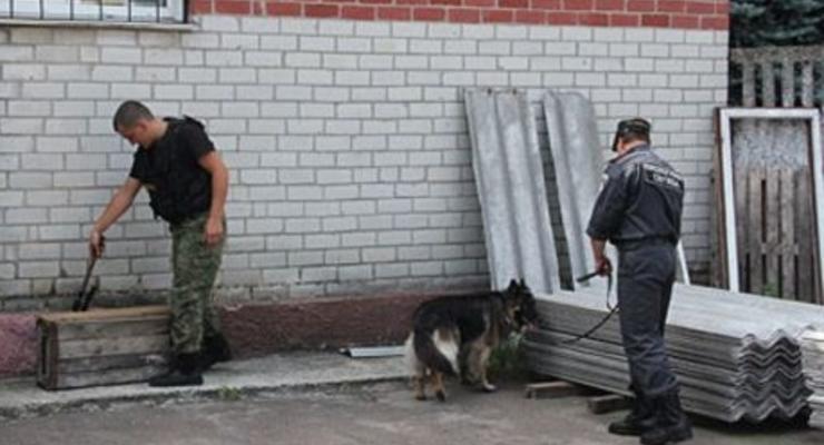 МВД: В Чернигове три сообщения о минировании в день выборов оказались ложными
