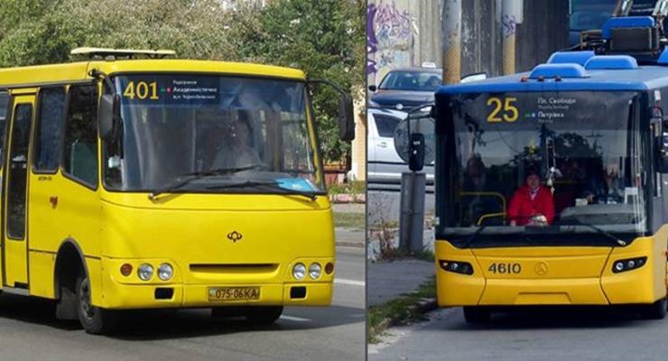 Столичные автобусы выехали на маршруты с обновленными номерными табличками