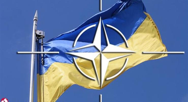 НАТО о боях на Донбассе: Мы внимательно следим за происходящим