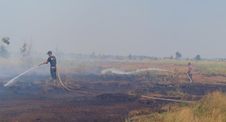 В Волынской области горит 95 га торфяников