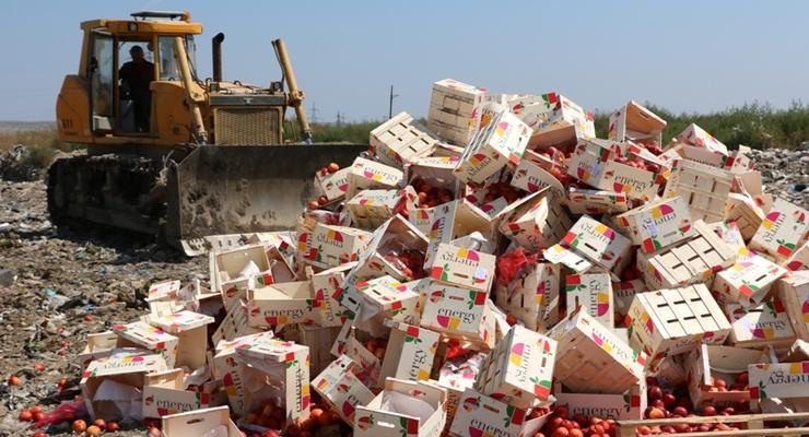 В Керчи оккупанты уничтожили 4,4 тонны нектарина