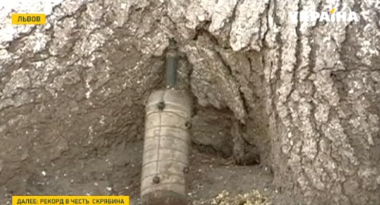 В детском саду Львова нашли боевую гранату